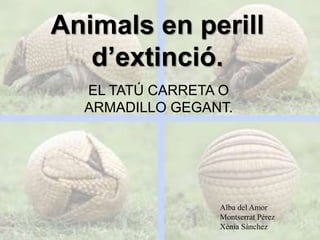 Animals en perill
d’extinció.
EL TATÚ CARRETA O
ARMADILLO GEGANT.
Alba del Amor
Montserrat Pérez
Xènia Sánchez
 