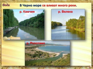 В Черно море се вливат много реки. 
р. Камчия 
р. Ропотамо 
р. Велека 
 