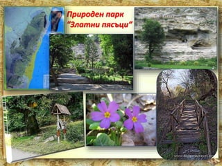 Природен парк 
”Златни пясъци” 
 