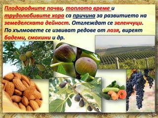 Плодородните почви, топлото време и 
трудолюбивите хора са причина за развитието на 
земеделската дейност. Отглеждат се зеленчуци. 
По хълмовете се извиват редове от лозя, виреят 
бадеми, смокини и др. 
 