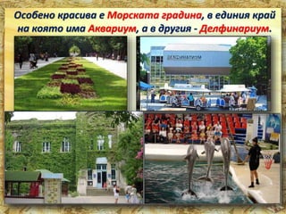 Особено красива е Морската градина, в единия край 
на която има Аквариум, а в другия - Делфинариум. 
 