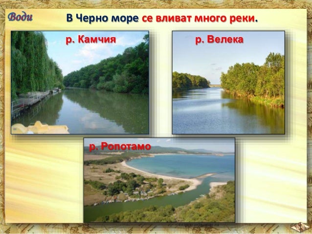 11. Българско черноморско крайбрежие - ЧО, 4 клас, Булвест