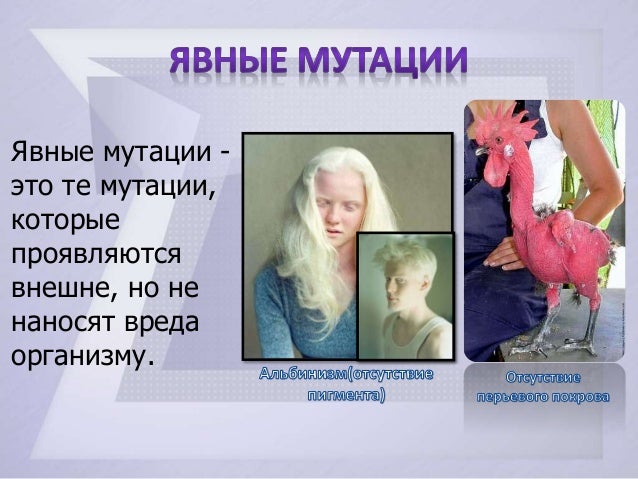 мутации презентация 11 класс