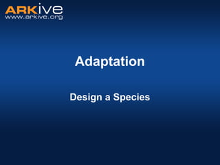 Adaptation
Design a Species
 