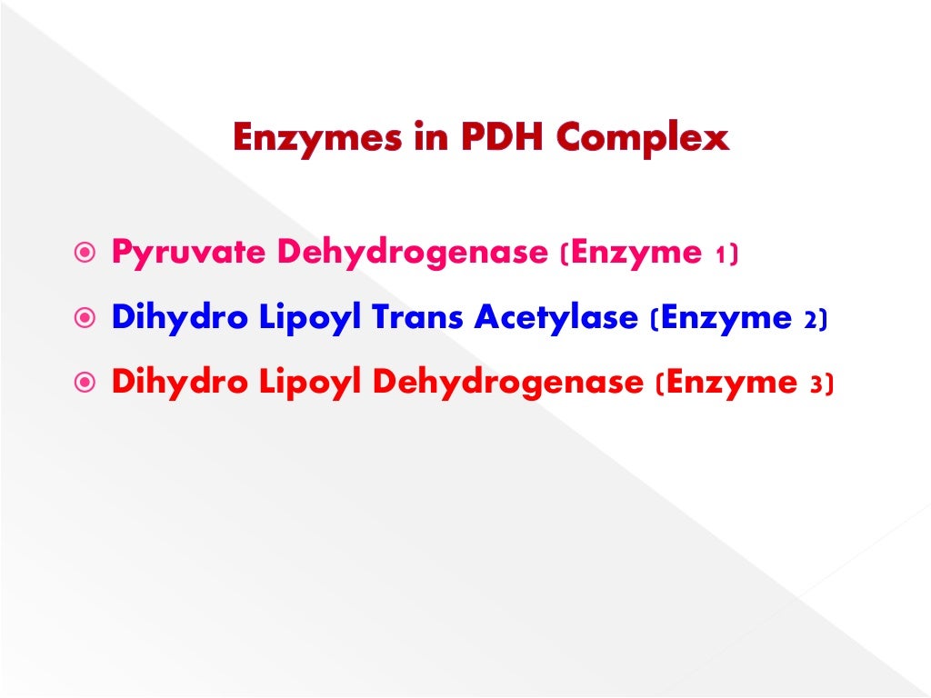 PYRUVATE DEHYDROGENASE COMPLEX (PDHMULTIENZYME COMPLEX)