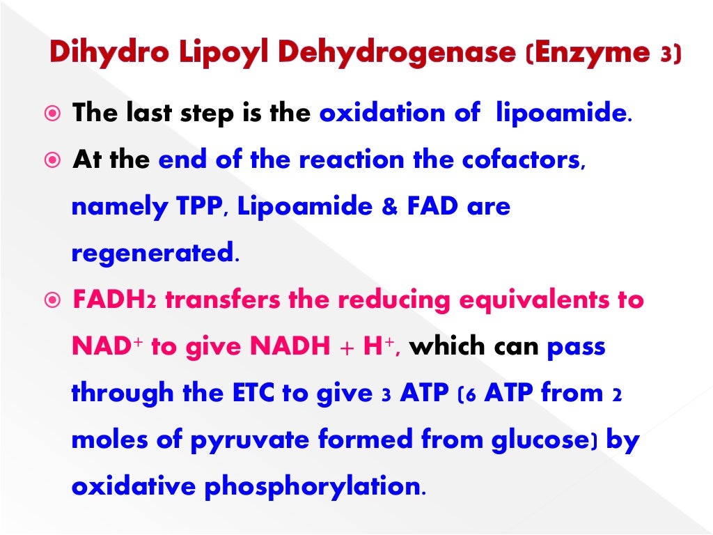 PYRUVATE DEHYDROGENASE COMPLEX (PDHMULTIENZYME COMPLEX)
