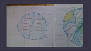 11.cynthia  caro diagrama de circulo de la naturaleza