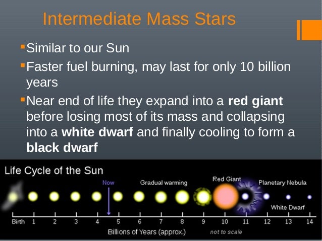 Seed Germination Coloring Page Plant life cycle, Seed