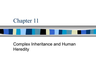 11.1 Basic Patterns of Inheritance | PPT