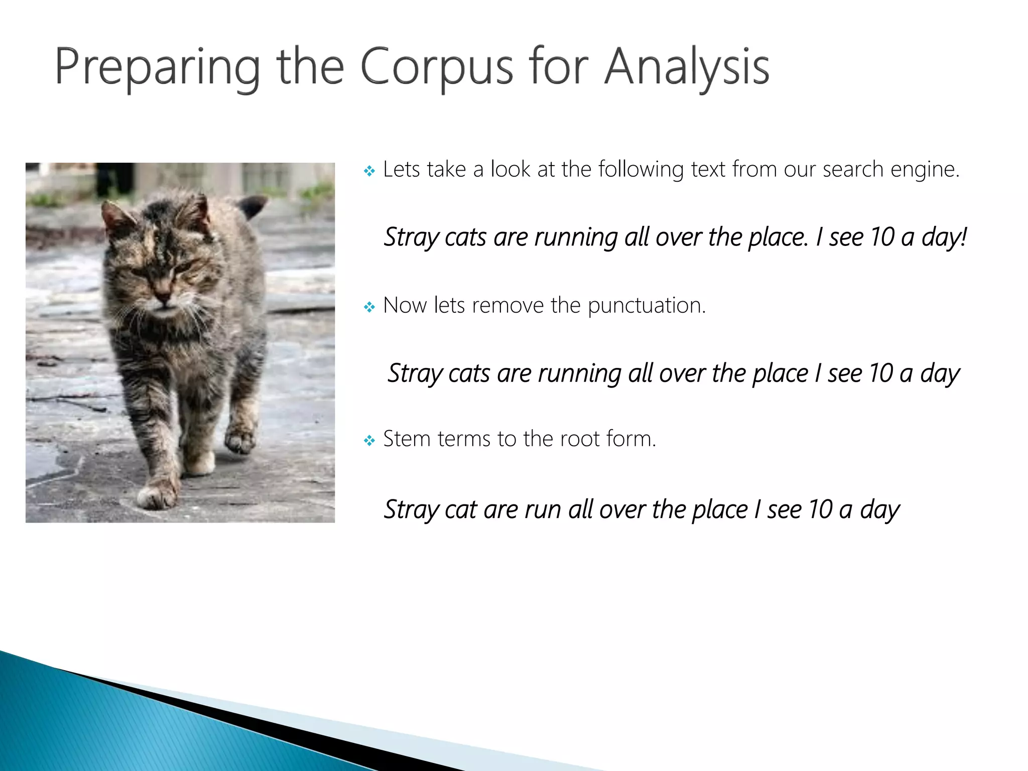  Lets take a look at the following text from our search engine.
Stray cats are running all over the place. I see 10 a day!
 Now lets remove the punctuation.
Stray cats are running all over the place I see 10 a day
 Stem terms to the root form.
Stray cat are run all over the place I see 10 a day
 