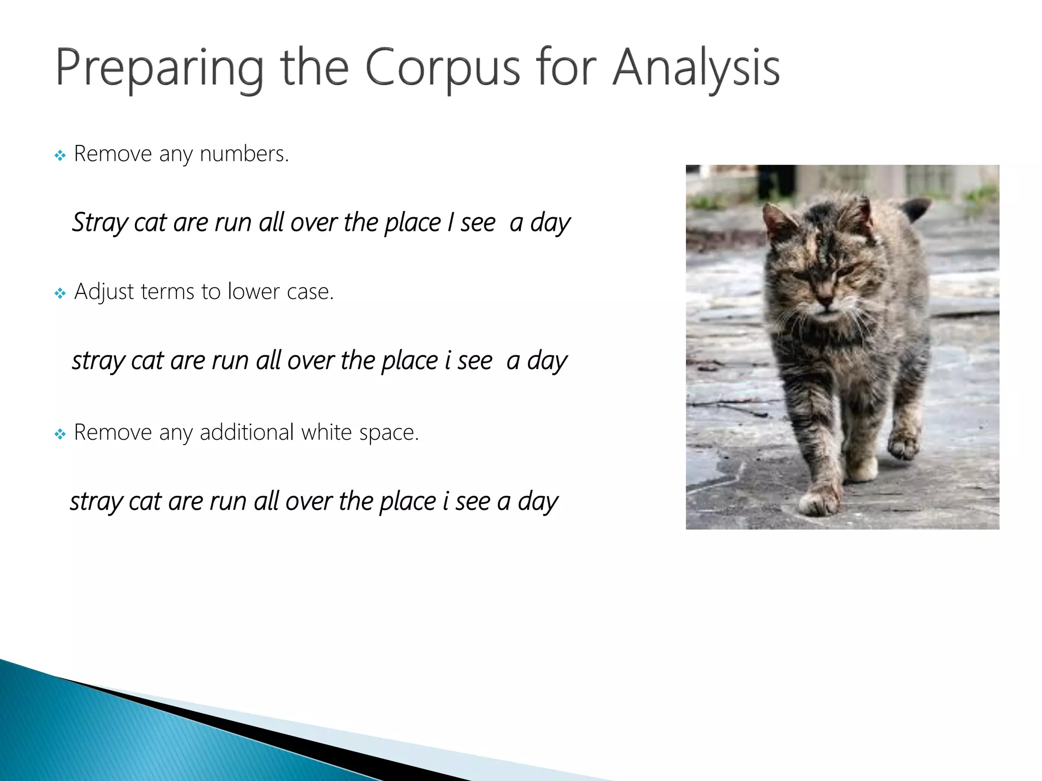  Remove any numbers.
Stray cat are run all over the place I see a day
 Adjust terms to lower case.
stray cat are run all over the place i see a day
 Remove any additional white space.
stray cat are run all over the place i see a day
 