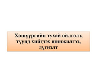 Хөшүүргийн тухай ойлголт,
түүнд хийгдэх шинжилгээ,
дүгнэлт
 