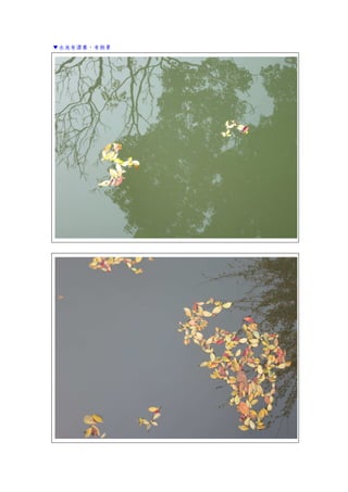 ▼水池有漂葉，有倒景
 