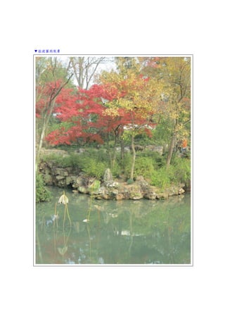 ▼拙政園的秋景
 