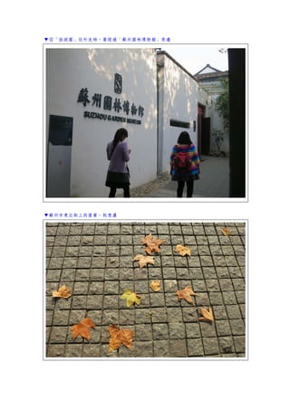 ▼從「拙政園」往外走時，要經過「蘇州園林博物館」旁邊
▼蘇州市東北街上的落葉，秋意濃
 