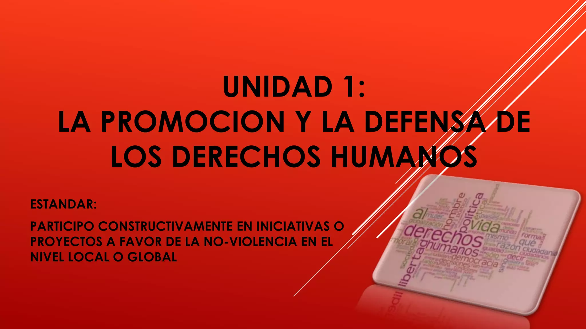 Promoción y defensa de los derechos humanos | PPTX