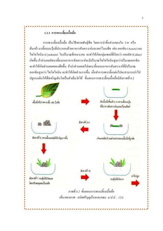 3
1.1.1 การเพาะเลี้ยงเนื้อเยื่อ
การเพาะเลี้ยงเนื้อเยื่อ เป็นวิธีขยายพันธุ์พืช โดยการนาชิ้นส่วนของใบ ราก หรือ
ต้นกล้า มาเลี้ยงบนวุ้นที่ประกอบด้วยอาหารสังเคราะห์และฮอร์โมนพืช เช่น ออกซิน (Auxin) และ
ไซโทไคนิน (Cytokinin) ในปริมาณที่เหมาะสม จะทาให้เกิดกลุ่มเซลล์ที่เรียกว่า แคลลัส (Callus)
เกิดขึ้น ถ้านาแคลลัสมาเลี้ยงบนอาหารสังเคราะห์จะมีปริมาณไซโทไคนินสูงกว่าปริมาณออกซิน
จะทาให้เกิดส่วนยอดของพืชขึ้น ถ้านาส่วนยอดไปเพาะเลี้ยงบนอาหารสังเคราะห์ที่มีปริมาณ
ออกซินสูงกว่า ไซโทไคนิน จะทาให้เกิดส่วนรากขึ้น เมื่อทาการเพาะเลี้ยงต่อไปจะสามารถนาไป
ปลูกบนดินให้พืชเจริญเติบโตเป็นตัวเต็มวัยได้ ขั้นตอนการเพาะเลี้ยงเนื้อเยื่อมีดังภาพที่ 8.2
ภาพที่ 8.2 ขั้นตอนการเพาะเลี้ยงเนื้อเยื่อ
(ที่มาของภาพ : ถนัดศรีบุญเรืองและคณะ. ม.ป.ป. : 123)
 