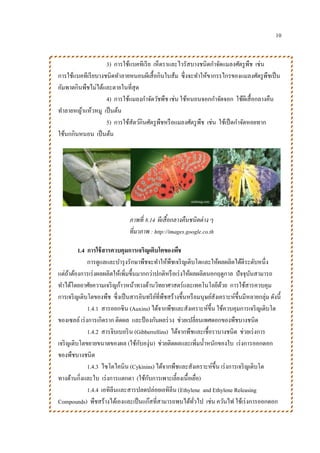 10
3) การใช้แบคทีเรีย เห็ดราและไวรัสบางชนิดกาจัดแมลงศัตรูพืช เช่น
การใช้แบคทีเรียบางชนิดทาลายหนอนผีเสื้อกินใบส้ม ซึ่งจะทาให้ขากรรไกรของแมลงศัตรูพืชเป็น
อัมพาตกินพืชไม่ได้และตายในที่สุด
4) การใช้แมลงกาจัดวัชพืช เช่น ใช้หนอนจอกกาจัดจอก ใช้ผีเสื้อกลางคืน
ทาลายหญ้าแห้วหมู เป็นต้น
5) การใช้สัตว์กินศัตรูพืชหรือแมลงศัตรูพืช เช่น ใช้เป็ดกาจัดหอยทาก
ใช้นกกินหนอน เป็นต้น
1.4 การใช้สารควบคุมการเจริญเติบโตของพืช
การดูแลและบารุงรักษาพืชจะทาให้พืชเจริญเติบโตและให้ผลผลิตได้ดีระดับหนึ่ง
แต่ถ้าต้องการเร่งผลผลิตให้เพิ่มขึ้นมากกว่าปกติหรือเร่งให้ผลผลิตนอกฤดูกาล ปัจจุบันสามารถ
ทาได้โดยอาศัยความเจริญก้าวหน้าทางด้านวิทยาศาสตร์และเทคโนโลยีด้วย การใช้สารควบคุม
การเจริญเติบโตของพืช ซึ่งเป็นสารอินทรีย์ที่พืชสร้างขึ้นหรือมนุษย์สังเคราะห์ขึ้นมีหลายกลุ่ม ดังนี้
1.4.1 สารออกซิน (Auxins) ได้จากพืชและสังเคราะห์ขึ้น ใช้ควบคุมการเจริญเติบโต
ของเซลล์ เร่งการเกิดราก ติดผล และป้ องกันผลร่วง ช่วยเปลี่ยนเพศดอกของพืชบางชนิด
1.4.2 สารจิบเบอริน (Gibberrellins) ได้จากพืชและเชื้อราบางชนิด ช่วยเร่งการ
เจริญเติบโตขยายขนาดของผล (ใช้กับองุ่น) ช่วยติดผลและเพิ่มน้าหนักของใบ เร่งการออกดอก
ของพืชบางชนิด
1.4.3 ไซโตไคนิน (Cykinins) ได้จากพืชและสังเคราะห์ขึ้น เร่งการเจริญเติบโต
ทางด้านกิ่งและใบ เร่งการแตกตา (ใช้กับการเพาะเลี้ยงเนื้อเยื่อ)
1.4.4 เอทิลีนและสารปลดปล่อยเอทิลีน (Ethylene and Ethylene Releasing
Compounds) พืชสร้างได้เองและเป็นแก๊สที่สามารถพบได้ทั่วไป เช่น ควันไฟ ใช้เร่งการออกดอก
ภาพที่ 8.14 ผีเสื้อกลางคืนชนิดต่าง ๆ
ที่มาภาพ : http://images.google.co.th
 