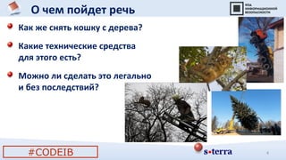 4
О чем пойдет речь
Как же снять кошку с дерева?
Какие технические средства
для этого есть?
Можно ли сделать это легально
и без последствий?
#CODEIB
 
