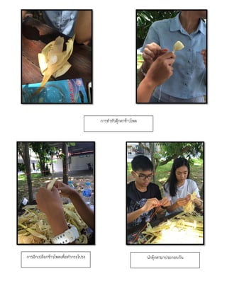 การทาหัวตุ๊กตาข้าวโพด
การฉีกเปลือกข้าวโพดเพื่อทากระโปรง นาตุ๊กตามาประกอบกัน
 