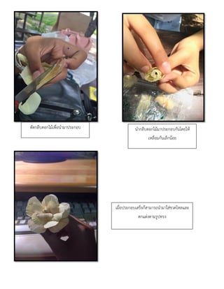 ตัดกลีบดอกไม้เพื่อนามาประกอบ นากลีบดอกไม้มาประกอบกันโดยให้
เหลื่อมกันเล็กน้อย
เมื่อประกอบเสร็จก็สามารถนามาใส่ขวดโหลและ
ตกแต่งตามรูปทรง
 