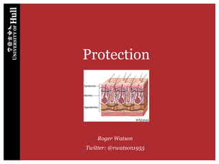 Protection
Roger Watson
Twitter: @rwatson1955
 