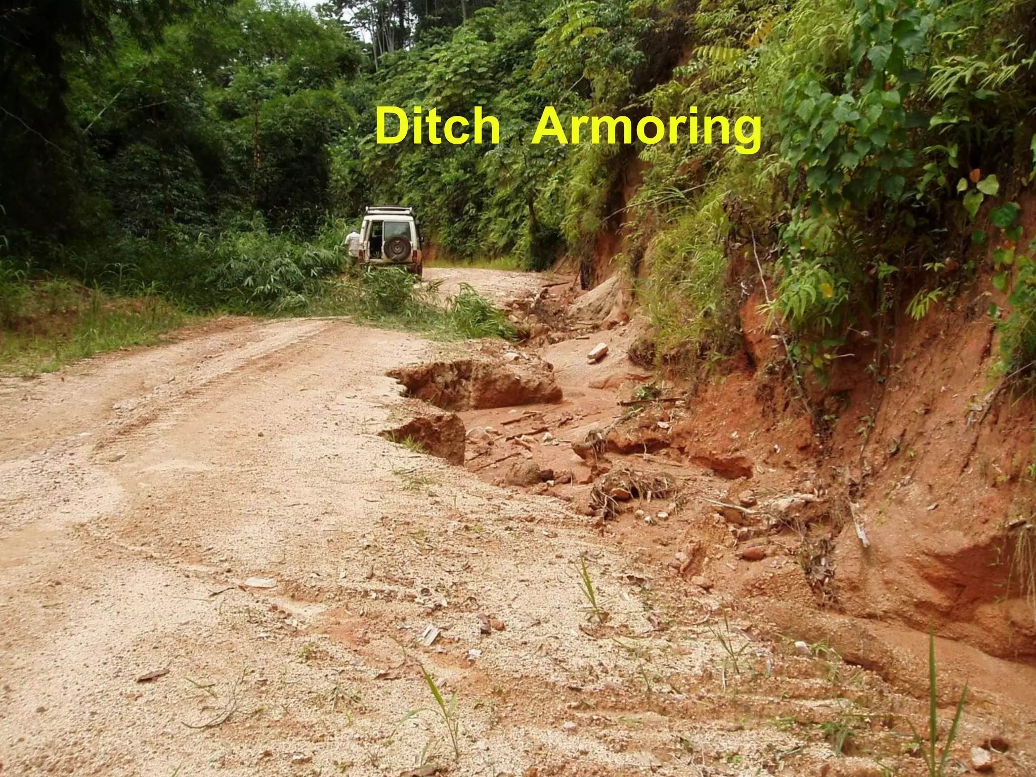 Ditch Armoring
 