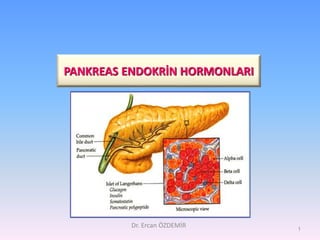 PANKREAS ENDOKRİN HORMONLARI
Dr. Ercan ÖZDEMİR 1
 