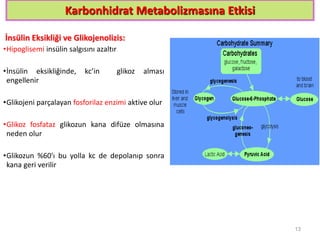 Karbonhidrat Metabolizmasına Etkisi
İnsülin Eksikliği ve Glikojenolizis:
•Hipoglisemi insülin salgısını azaltır
•İnsülin eksikliğinde, kc’in glikoz alması
engellenir
•Glikojeni parçalayan fosforilaz enzimi aktive olur
•Glikoz fosfataz glikozun kana difüze olmasına
neden olur
•Glikozun %60'ı bu yolla kc de depolanıp sonra
kana geri verilir
13
 