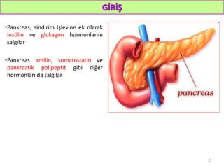 GİRİŞ
•Pankreas, sindirim işlevine ek olarak
insülin ve glukagon hormonlarını
salgılar
•Pankreas amilin, somatostatin ve
pankreatik polipeptit gibi diğer
hormonları da salgılar
2
 