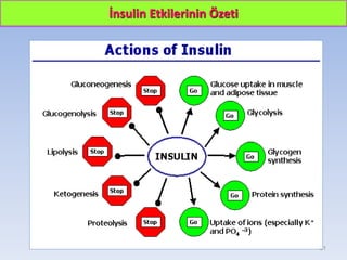 İnsulin Etkilerinin Özeti
21
 