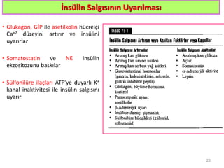 İnsülin Salgısının Uyarılması
• Glukagon, GİP ile asetilkolin hücreiçi
Ca+2 düzeyini artırır ve insülini
uyarırlar
• Somatostatin ve NE insülin
ekzositozunu baskılar
• Sülfonilüre ilaçları ATP'ye duyarlı K+
kanal inaktivitesi ile insülin salgısını
uyarır
23
 