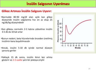 İnsülin Salgısının Uyarılması
Glikoz Artması İnsülin Salgısını Uyarır:
•Normalde 80-90 mg/dl olan açlık kan glikoz
düzeyinde insülin salgılanma hızı en az olup 25
ng/dk/kg düzeyindedir
•Kan glikozu normalin 2-3 katına yükselirse insülin
3-5 dk da 10 kat artar
•Bunun nedeni, beta hücrelerinde önceden üretilmiş
insülinin kana boşaltılmasıdır
•Ancak, insülin 5-10 dk içinde normal düzeyin
yarısına geriler
•Yaklaşık 15 dk sonra, insülin ikinci kez artma
gösterir ve 2-3 saatte yeni bir platoya erişilir
24
 