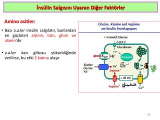 İnsülin Salgısını Uyaran Diğer Faktörler
Amino asitler:
• Bazı a.a.ler insülin salgılatır, bunlardan
en güçlüleri arjinin, lizin, glisin ve
alanin'dir
• a.a.ler kan glikozu yükseldiğinde
verilirse, bu etki 2 katına ulaşır
26
 
