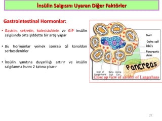 İnsülin Salgısını Uyaran Diğer Faktörler
Gastrointestinal Hormonlar:
• Gastrin, sekretin, kolesistokinin ve GİP insülin
salgısında orta şiddette bir artış yapar
• Bu hormonlar yemek sonrası Gİ kanaldan
serbestlenirler
• İnsülin yanıtına duyarlılığı artırır ve insülin
salgılanma hızını 2 katına çıkarır
27
 