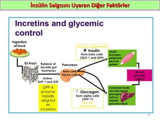 İnsülin Salgısını Uyaran Diğer Faktörler
28
 