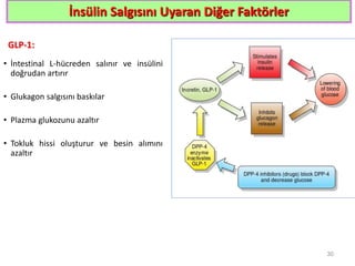 İnsülin Salgısını Uyaran Diğer Faktörler
GLP-1:
• İntestinal L-hücreden salınır ve insülini
doğrudan artırır
• Glukagon salgısını baskılar
• Plazma glukozunu azaltır
• Tokluk hissi oluşturur ve besin alımını
azaltır
30
 