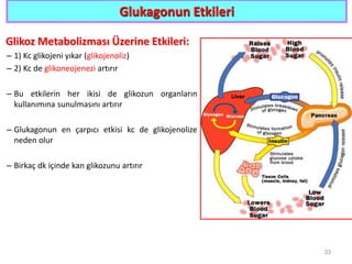 Glukagonun Etkileri
Glikoz Metabolizması Üzerine Etkileri:
– 1) Kc glikojeni yıkar (glikojenoliz)
– 2) Kc de glikoneojenezi artırır
– Bu etkilerin her ikisi de glikozun organların
kullanımına sunulmasını artırır
– Glukagonun en çarpıcı etkisi kc de glikojenolize
neden olur
– Birkaç dk içinde kan glikozunu artırır
33
 
