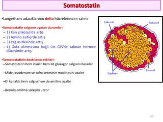 Somatostatin
•Langerhans adacıklarının delta hücrelerinden salınır
•Somatostatin salgısını uyaran durumlar:
– 1) Kan glikozunda artış
– 2) Amino asitlerde artış
– 3) Yağ asitlerinde artış
– 4) Gıda alınmasına bağlı üst GIS’de salınan hormon
düzeyinde artış
•Somatostatinin baskılayıcı etkileri:
–Somatostatin hem insülin hem de glukagon salgısını baskılar
–Mide, duodenum ve safra kesesinin motilitesini azaltır
–Gİ kanalda hem salgıyı hem de emilimi azaltır
–Besinin emilme süresini uzatır
40
 
