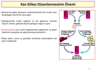 Kan Glikoz Düzenlenmesinin Önemi
•Normal kan glikoz düzeyinin sürdürülmesinde hem insülin hem
de glukagon önemli bir işlev yapar
•Hiperglisemide insülin salgılanır ve kan glikozunu normale
düşürür. Aksine, glikozda düşme glukagon salgısını uyarır
•GH ve kortizol uzun süreli hipoglisemide salgılanırlar ve glikoz
tüketimini yavaşlatıp ve yağ kullanmaya yönlendirir
•Glikoz beyin, retina ve gonadlar tarafından kullanılabilen tek
besin maddesidir
42
 