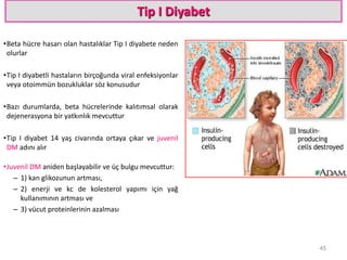 Tip I Diyabet
•Beta hücre hasarı olan hastalıklar Tip I diyabete neden
olurlar
•Tip I diyabetli hastaların birçoğunda viral enfeksiyonlar
veya otoimmün bozukluklar söz konusudur
•Bazı durumlarda, beta hücrelerinde kalıtımsal olarak
dejenerasyona bir yatkınlık mevcuttur
•Tip I diyabet 14 yaş civarında ortaya çıkar ve juvenil
DM adını alır
•Juvenil DM aniden başlayabilir ve üç bulgu mevcuttur:
– 1) kan glikozunun artması,
– 2) enerji ve kc de kolesterol yapımı için yağ
kullanımının artması ve
– 3) vücut proteinlerinin azalması
45
 