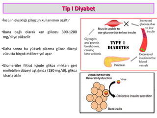 Tip I Diyabet
•İnsülin eksikliği glikozun kullanımını azaltır
•Buna bağlı olarak kan glikozu 300-1200
mg/dl'ye yükselir
•Daha sonra bu yüksek plazma glikoz düzeyi
vücutta birçok etkilere yol açar
•Glomerüler filtrat içinde glikoz miktarı geri
emilebilen düzeyi aştığında (180 mg/dl), glikoz
idrarla atılır
46
 