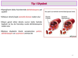 Tip I Diyabet
•Hiperglisemi doku hücrelerinde dehidratasyona yol
açabilir
•Glikozun idrarla kaybı ozmotik diüreze neden olur
•Olayın genel etkisi idrarla sıvının kütle halinde
kaybıdır ve bu da hücredışı sıvıda dehidratasyona
neden olur
•Böylece diyabetin klasik semptomları poliüri,
dehidratasyon ve susamanın artması'dır
47
 