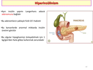 Hiperinsülinizm
•Aşırı insülin yapımı Langerhans adacık
adenomuna bağlıdır
•Bu adenomların yaklaşık %10-15'i habistir
•Bu kanserlerde anormal miktarda insülin
üretimi görülür
•Bu olgular hipoglisemiyi önleyebilmek için 1
kg/gün’den fazla glikoz kullanmak zorundadır
61
 