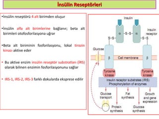 İnsülin Reseptörleri
•İnsülin reseptörü 4 alt birimden oluşur
•İnsülin alfa alt birimlerine bağlanır; beta alt
birimleri otofosforilasyona uğrar
•Beta alt biriminin fosforilasyonu, lokal tirozin
kinazı aktive eder
• Bu aktive enzim insülin reseptör substratları (İRS)
olarak bilinen enzimin fosforilasyonunu sağlar
• IRS-1, IRS-2, IRS-3 farklı dokularda eksprese edilir
7
 