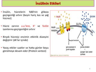 İnsülinin Etkileri
• İnsülin, hücrelerin %80'nin glikoza
geçirgenliği artırır (beyin hariç kas ve yağ
hücresi)
• Hücre zarının a.a.’lere, K+ ve fosfat
iyonlarına geçirgenliğini artırır
• Birçok hücreiçi enzimin etkinlik düzeyini
değiştirir (dk’lar içinde)
• Yavaş etkiler saatler ve hatta günler boyu
görülmeye devam eder (Protein sentezi)
8
 