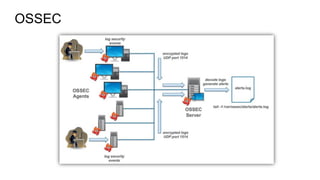 OSSEC
 