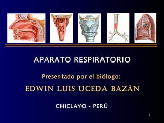 APARATO RESPIRATORIO
Presentado por el biólogo:
EDWIN LUIS UCEDA BAZÁN
CHICLAYO - PERÚ
1
 