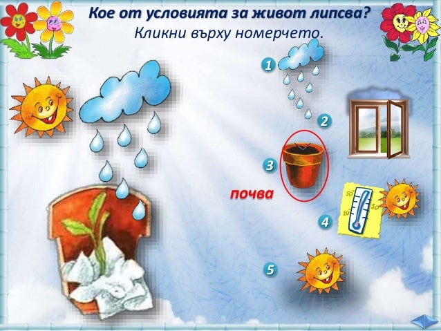 11. Условия, необходими за живота на растенията - РК, Просвета, В. П.