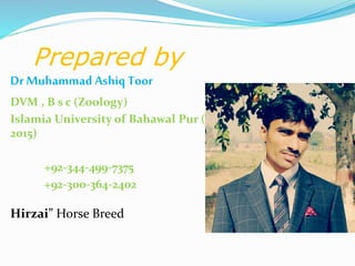 Prepared by
Dr Muhammad Ashiq Toor
DVM , B s c (Zoology)
Islamia University of Bahawal Pur (IUB) (2010 –
2015)
+92-344-499-7375
+92-300-364-2402
Hirzai” Horse Breed